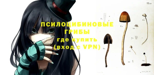 дурь Горняк
