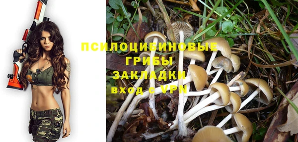 МДПВ Горнозаводск