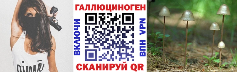 Псилоцибиновые грибы прущие грибы  Купить закладки  Новозыбков 