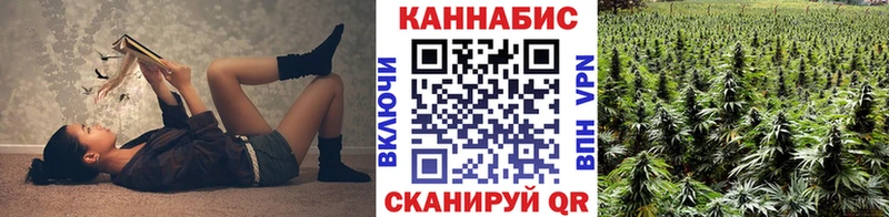 Бошки Шишки сатива  Купить  Новозыбков 